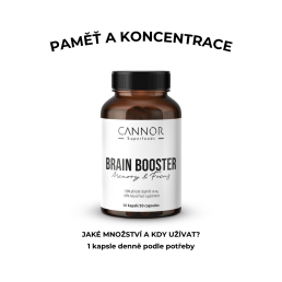 Brain Booster -SOUSTŘEDĚNÍ a PAMĚTˇ (30 tablet)