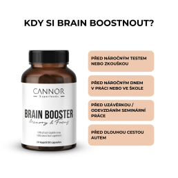 Brain Booster -SOUSTŘEDĚNÍ a PAMĚTˇ (30 tablet)