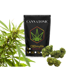 CBD konopí  Cannatonic -CBD konopí  Cannatonic