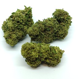 CBD konopí  Cannatonic