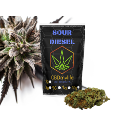 CBD konopí  Sour Diesel