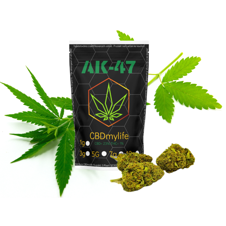 CBD konopí AK-47