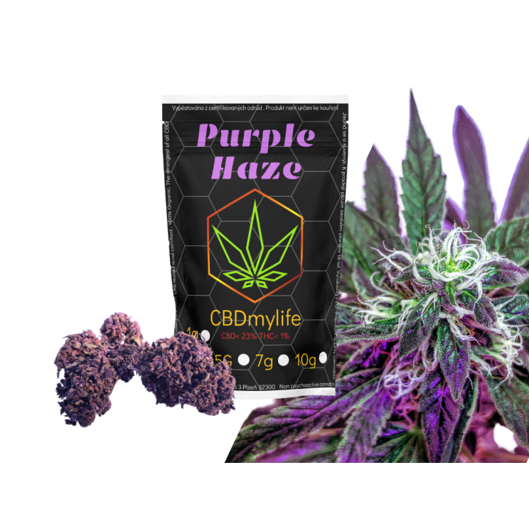 CBD konopí Purple Haze