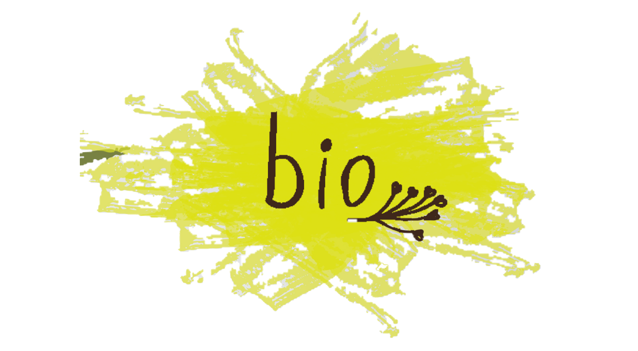 Bio